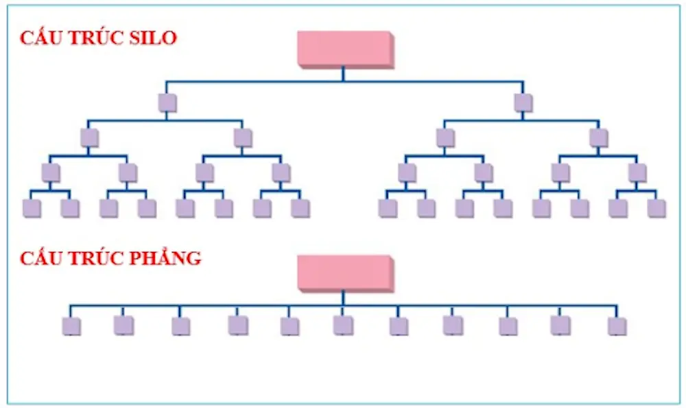 Phân biệt cấu trúc Silo và cấu trúc phẳng